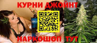 сатива Краснознаменск
