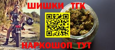 сатива Краснознаменск